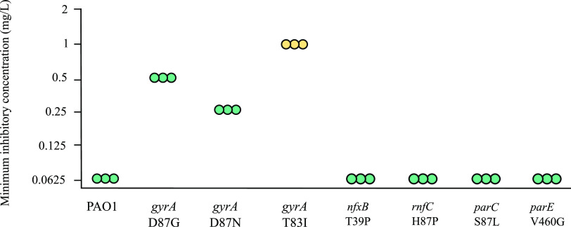 FIG 1