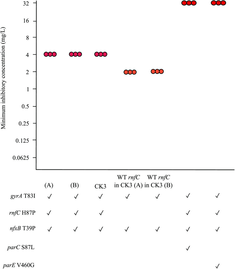 FIG 4