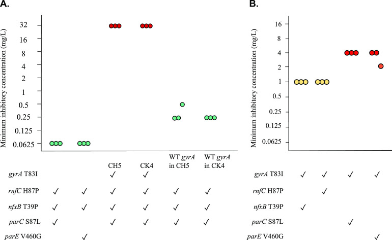 FIG 2