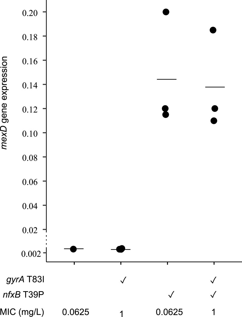 FIG 3