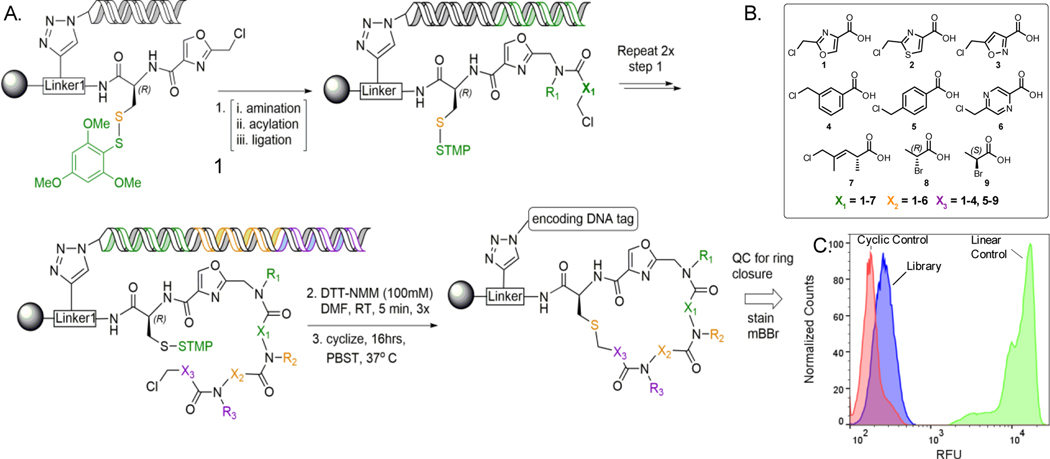 Figure 2: