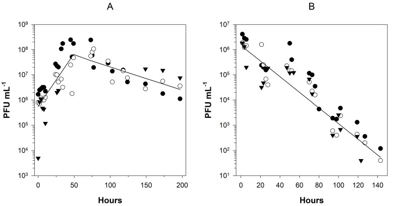 
Figure 1.
Growth and decay rates of infectivity for HCoV-OC43
