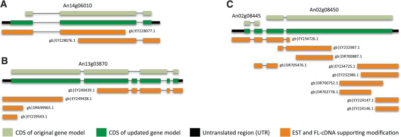 Figure 4.