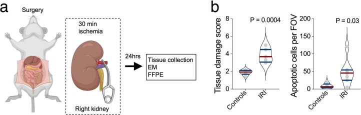 Extended Data Fig. 6