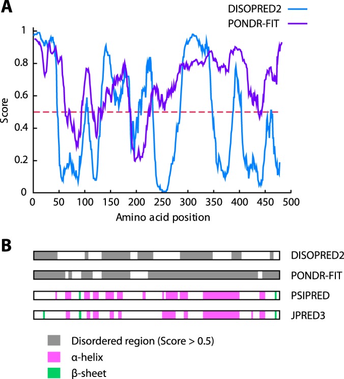 FIGURE 10.