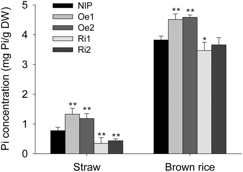 Fig 6