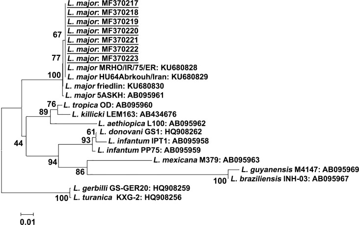 Fig 6