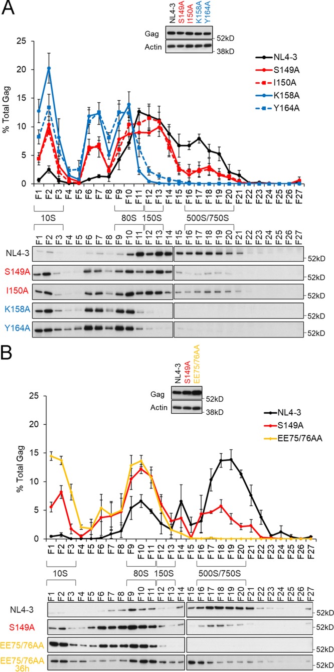 FIG 3