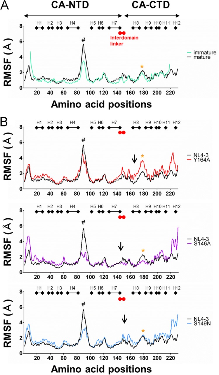 FIG 10