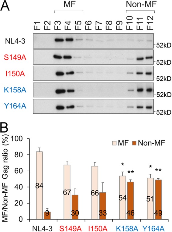 FIG 4