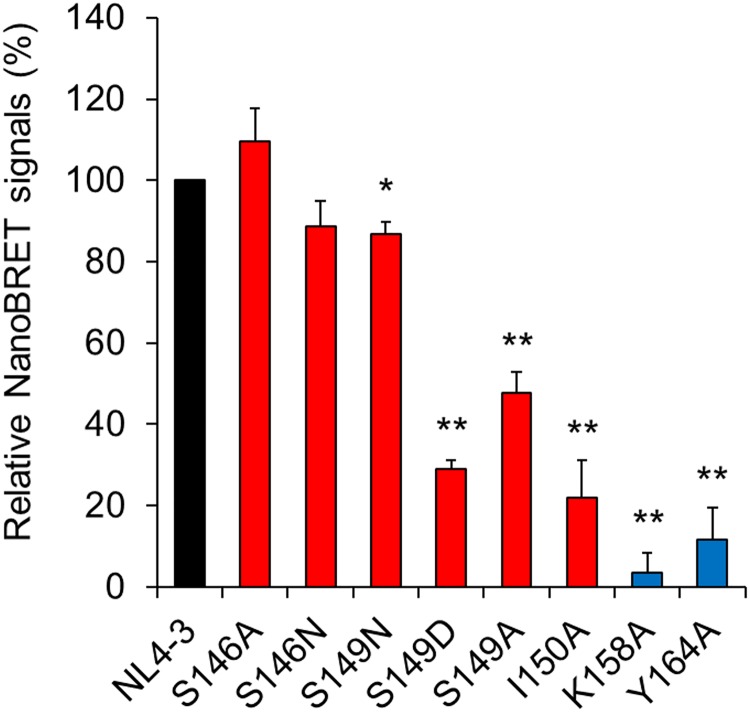 FIG 6