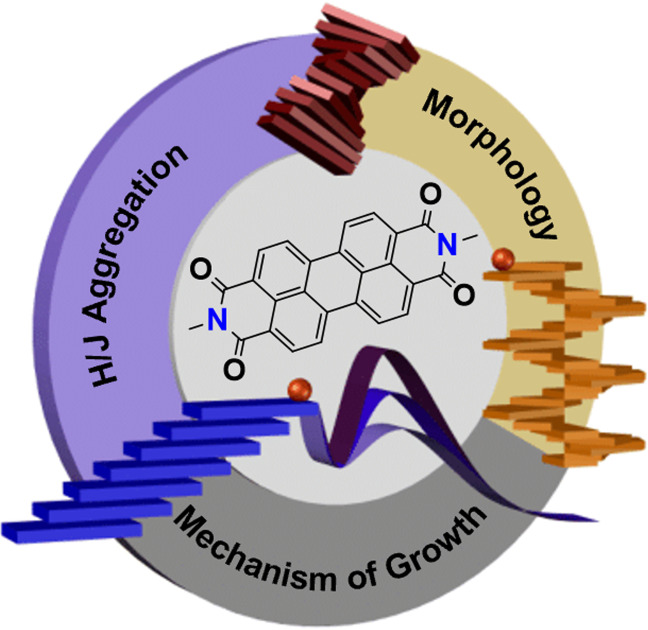 graphic file with name CHEM-28-0-g015.jpg