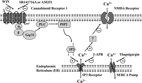 Fig. 9.