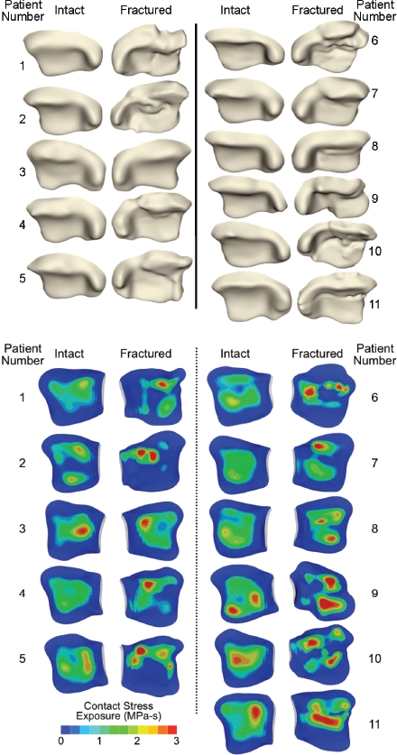 Figure 11