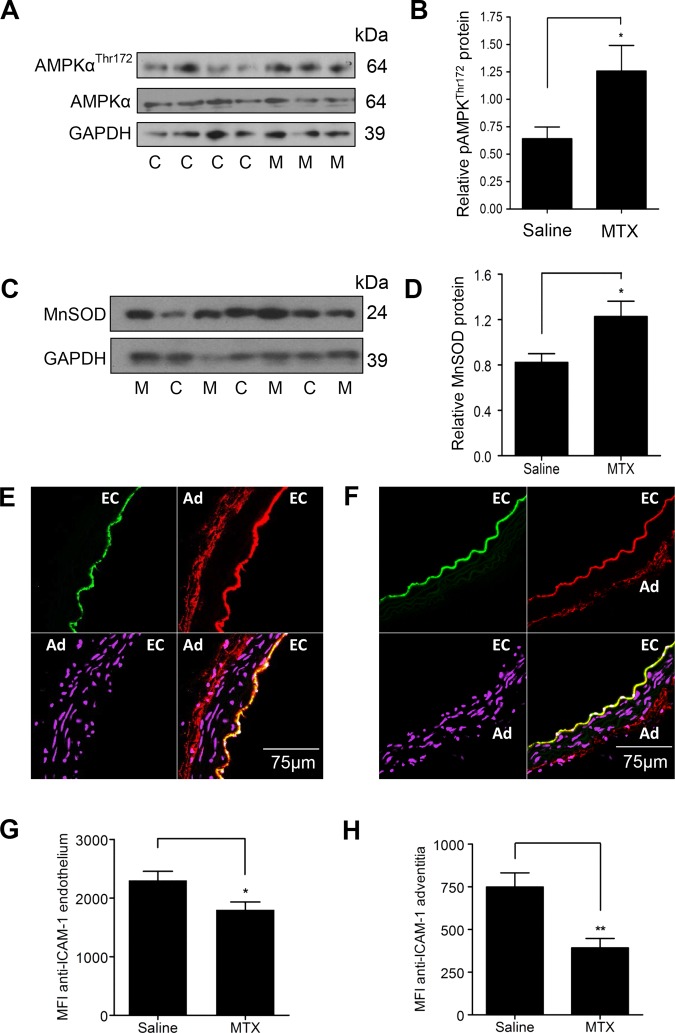 Figure 6