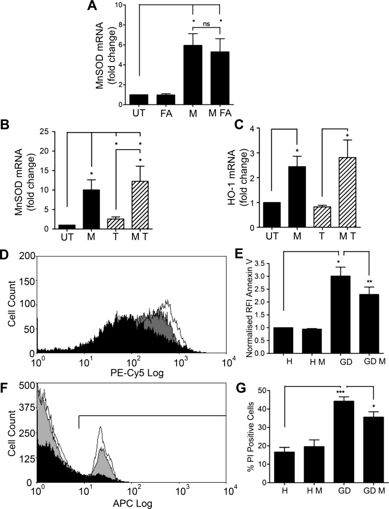 Figure 5