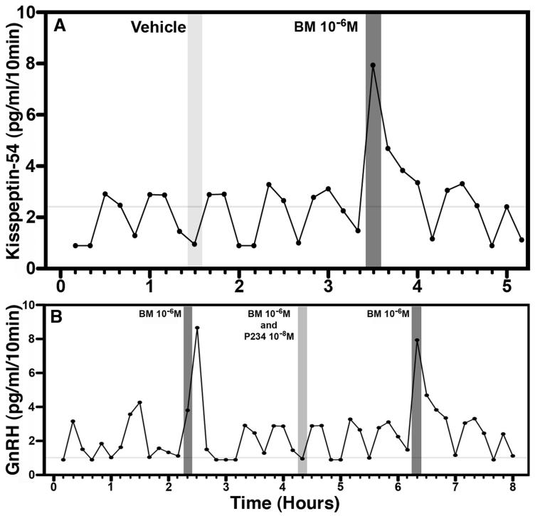 Figure 12.4