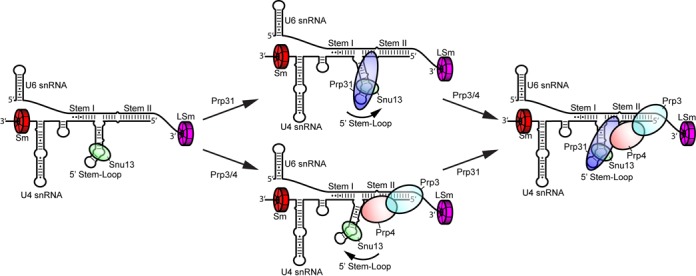 Figure 5.