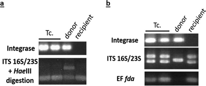 FIG 6