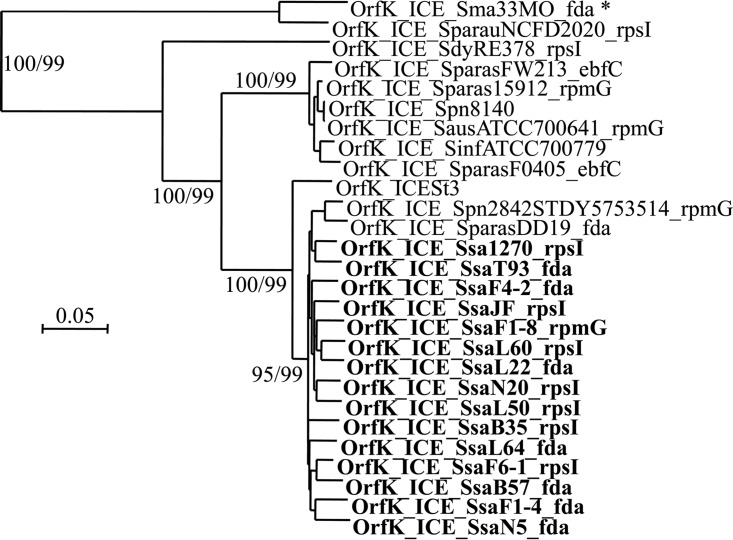 FIG 3