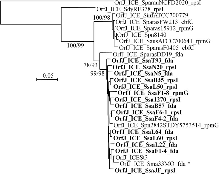 FIG 2