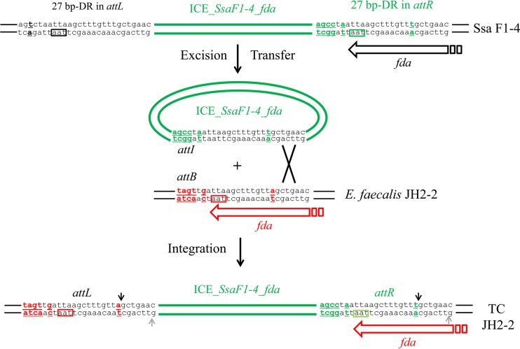 FIG 7