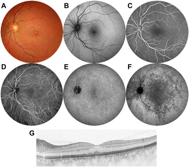 Figure 6