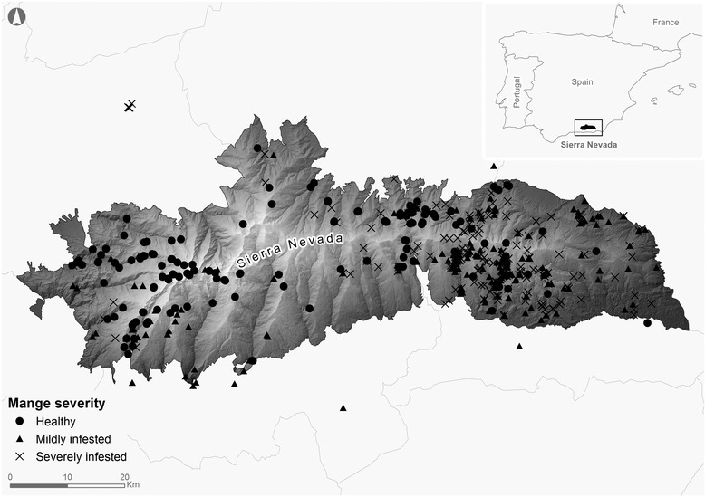 Fig. 1