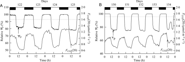 Fig. 5.