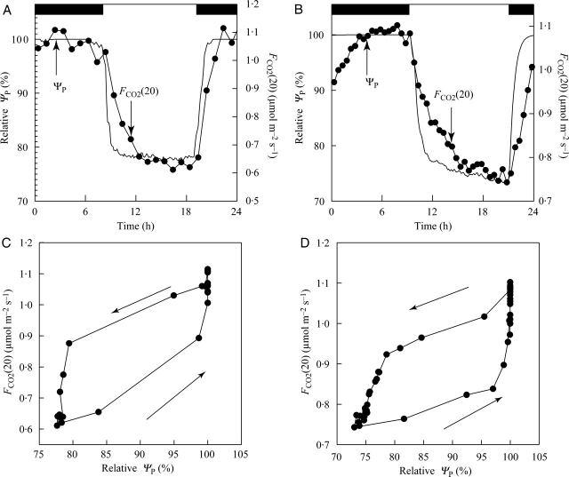 Fig. 6.