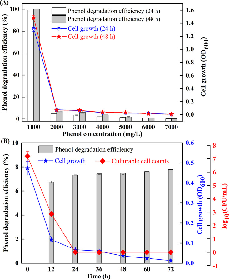 FIG 1