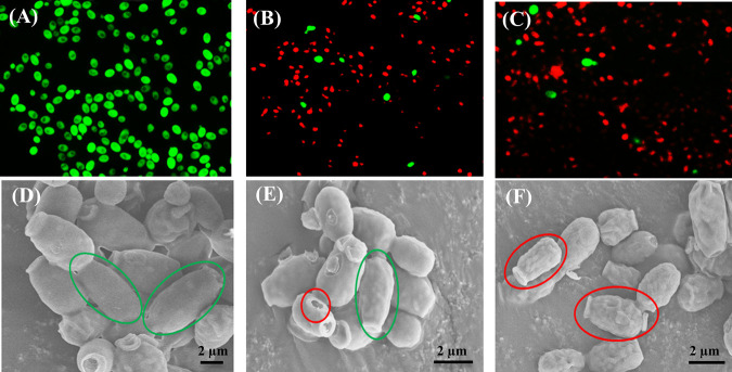 FIG 3