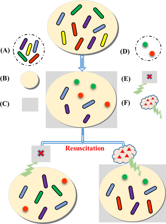 FIG 7