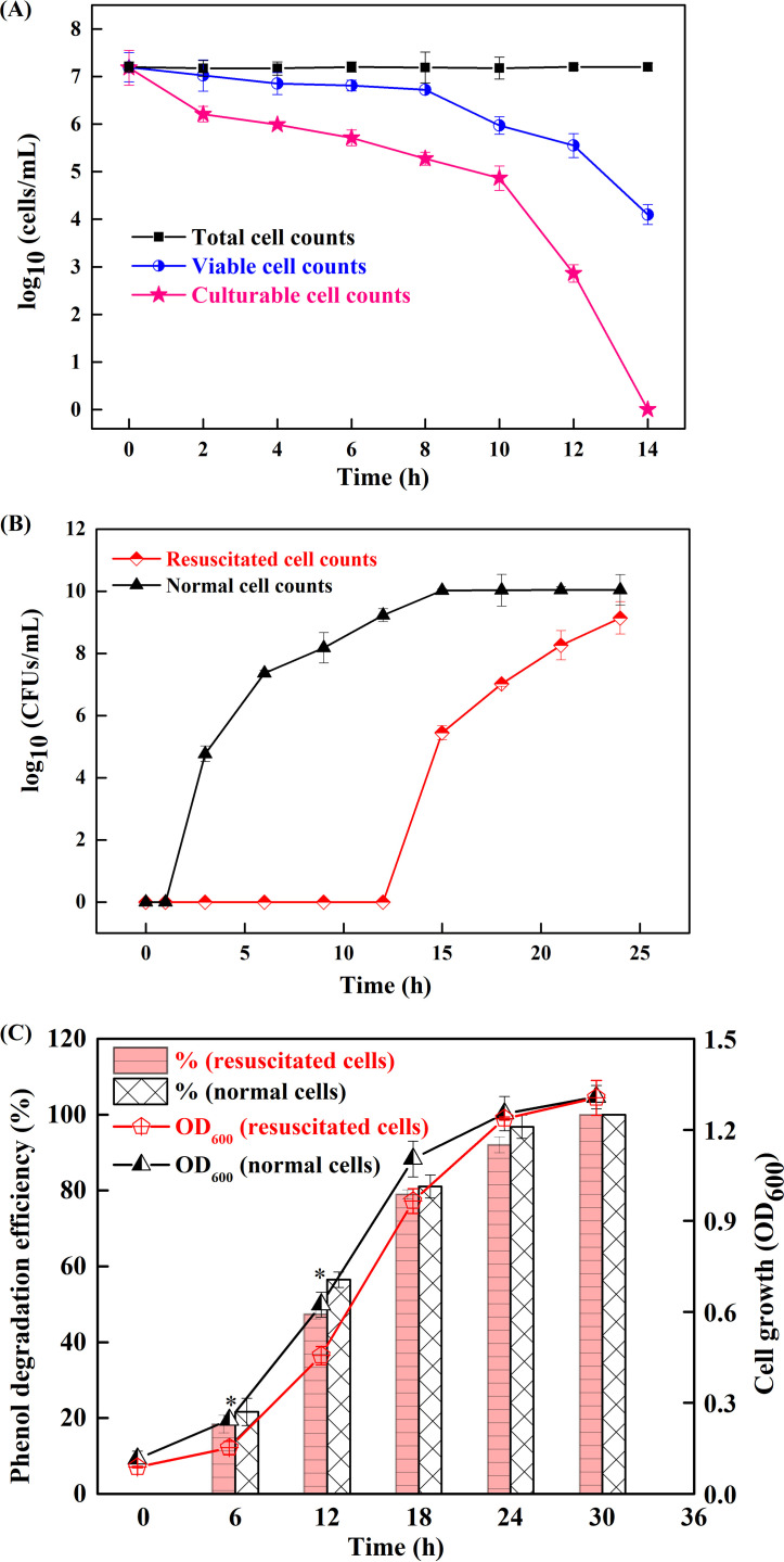 FIG 2