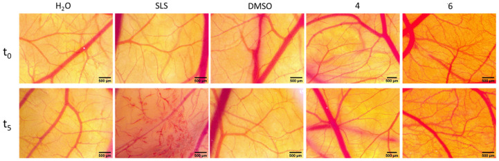 Figure 12