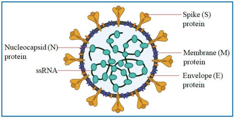 Figure 1.