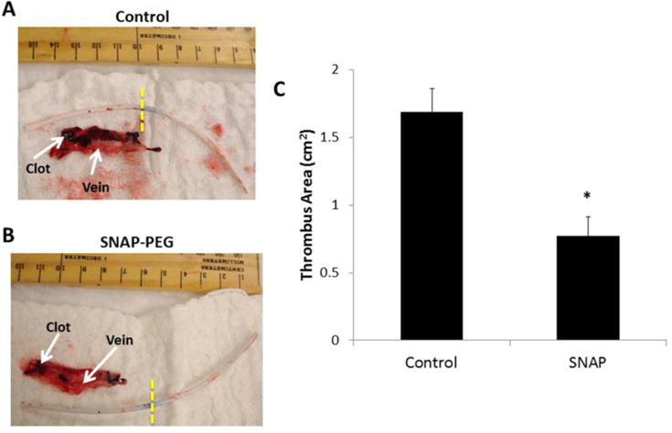 Fig. 7