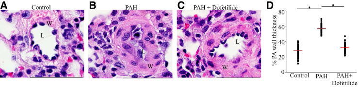 Figure 6