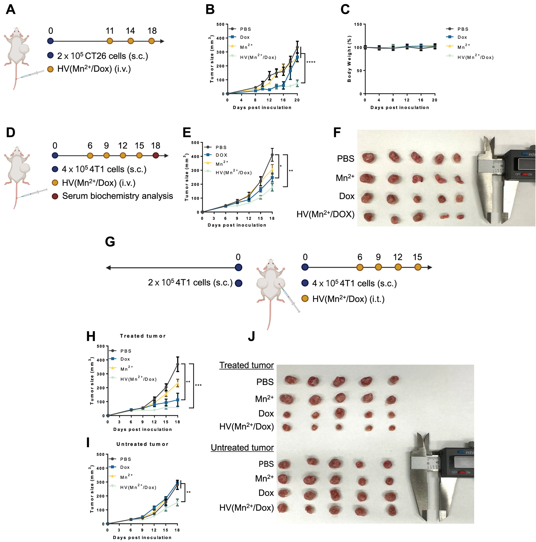 CXCR4-Targeted Macrophage-Derived Biomimetic Hybrid Vesicle ...