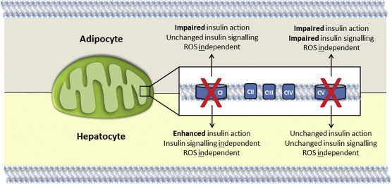 Figure 6