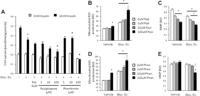 Figure 5