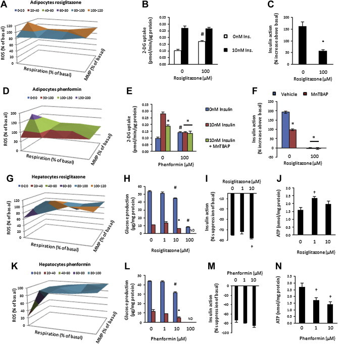 Figure 4