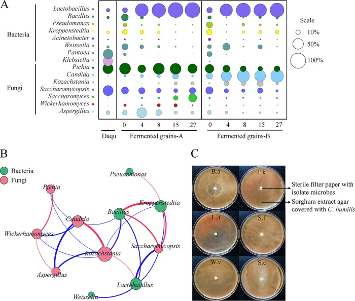 FIG 2