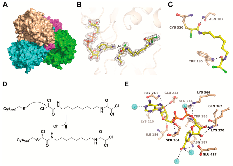 Figure 2.