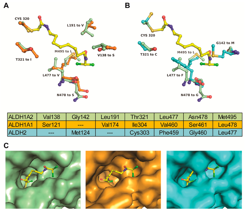 Figure 6.