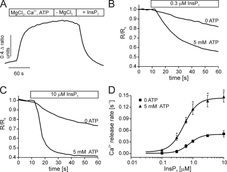 FIGURE 1.