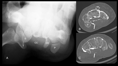 Figure 6
