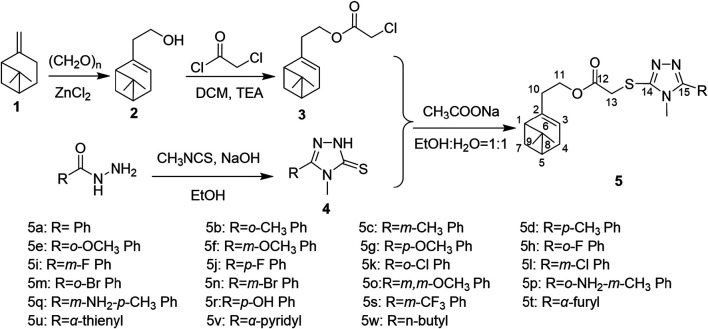 SCHEME 1