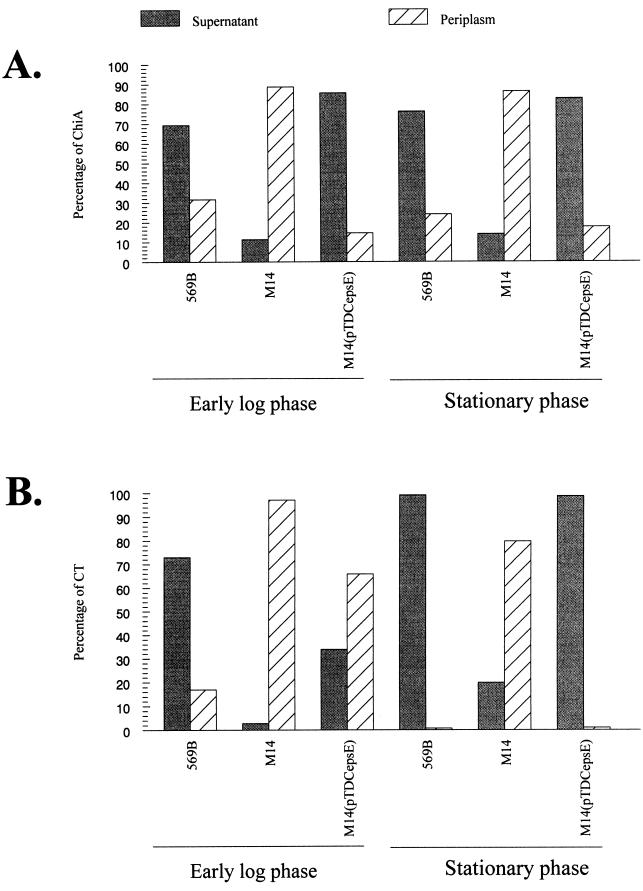 FIG. 7