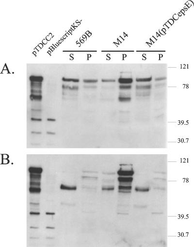 FIG. 6